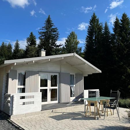 Villa Lavendowa Oaza Kocierz Rychwaldzki Exterior foto