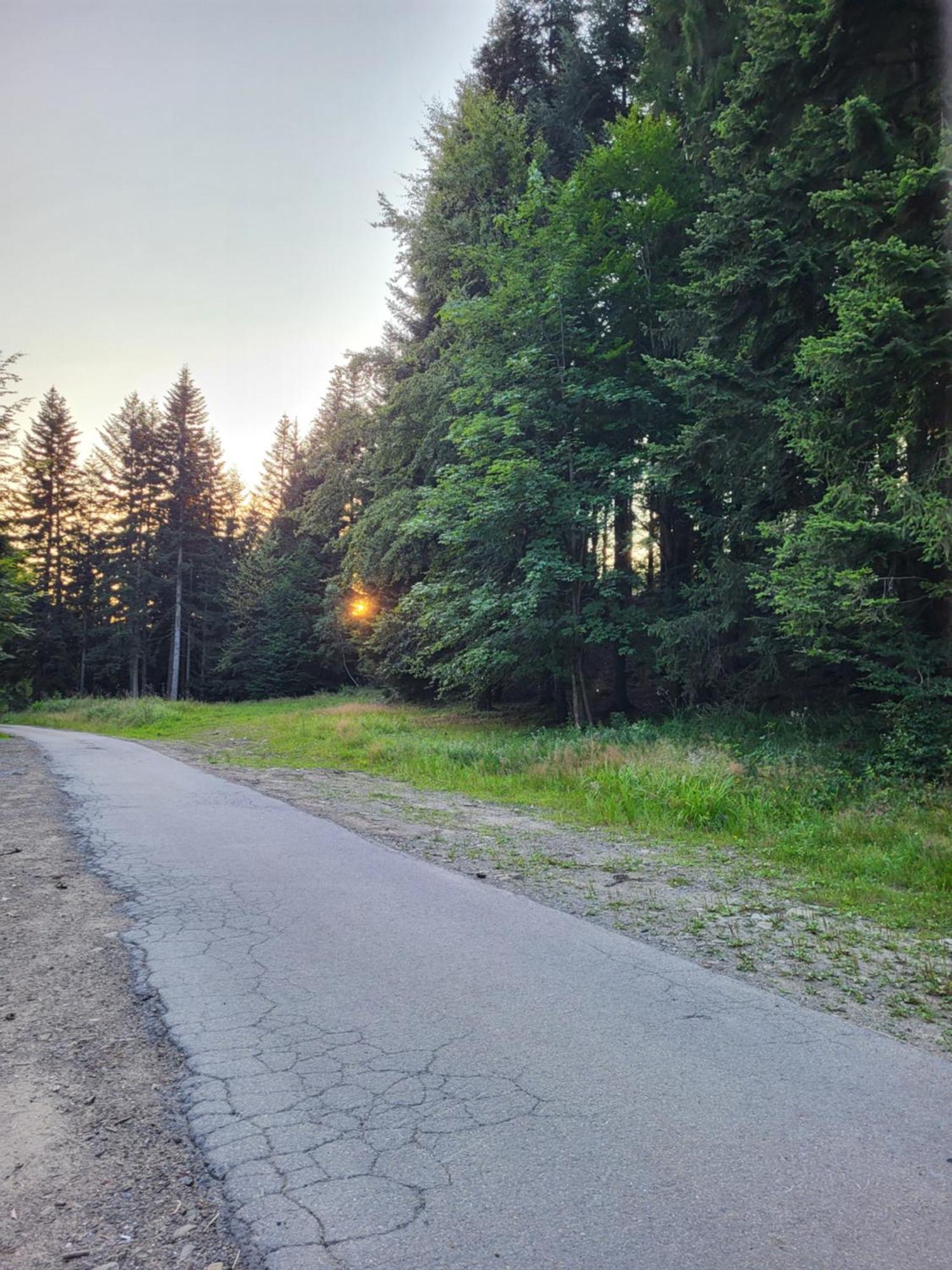 Villa Lavendowa Oaza Kocierz Rychwaldzki Exterior foto