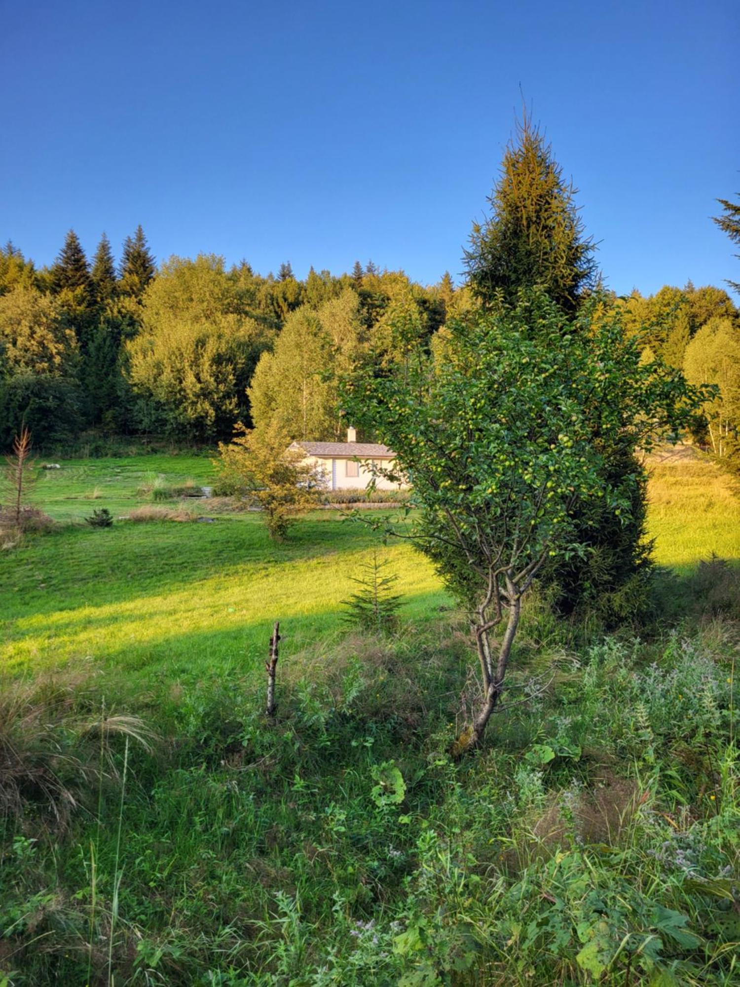 Villa Lavendowa Oaza Kocierz Rychwaldzki Exterior foto