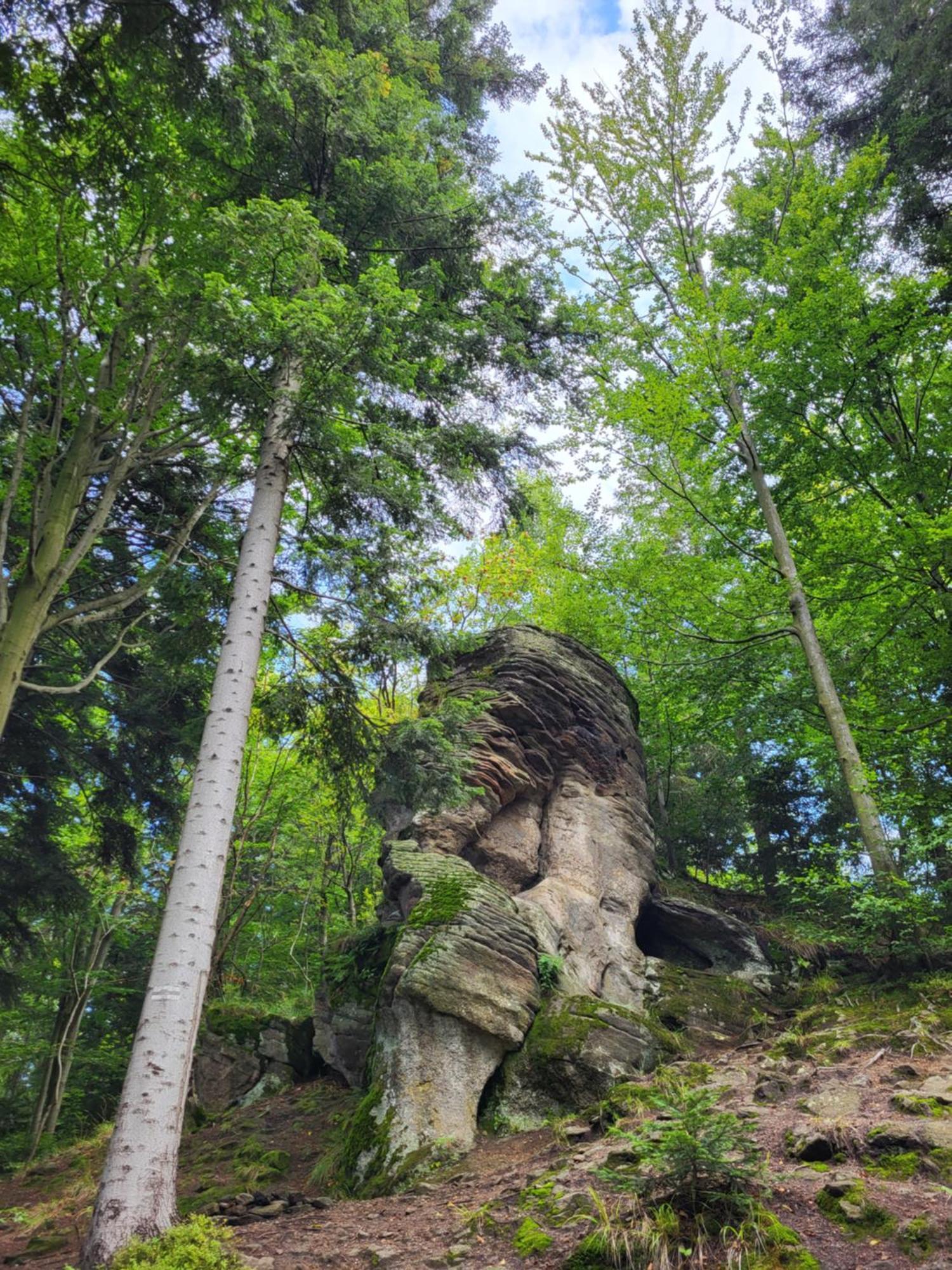 Villa Lavendowa Oaza Kocierz Rychwaldzki Exterior foto