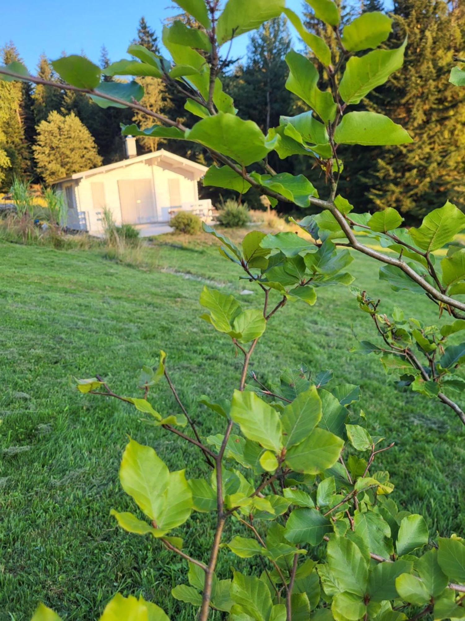 Villa Lavendowa Oaza Kocierz Rychwaldzki Exterior foto