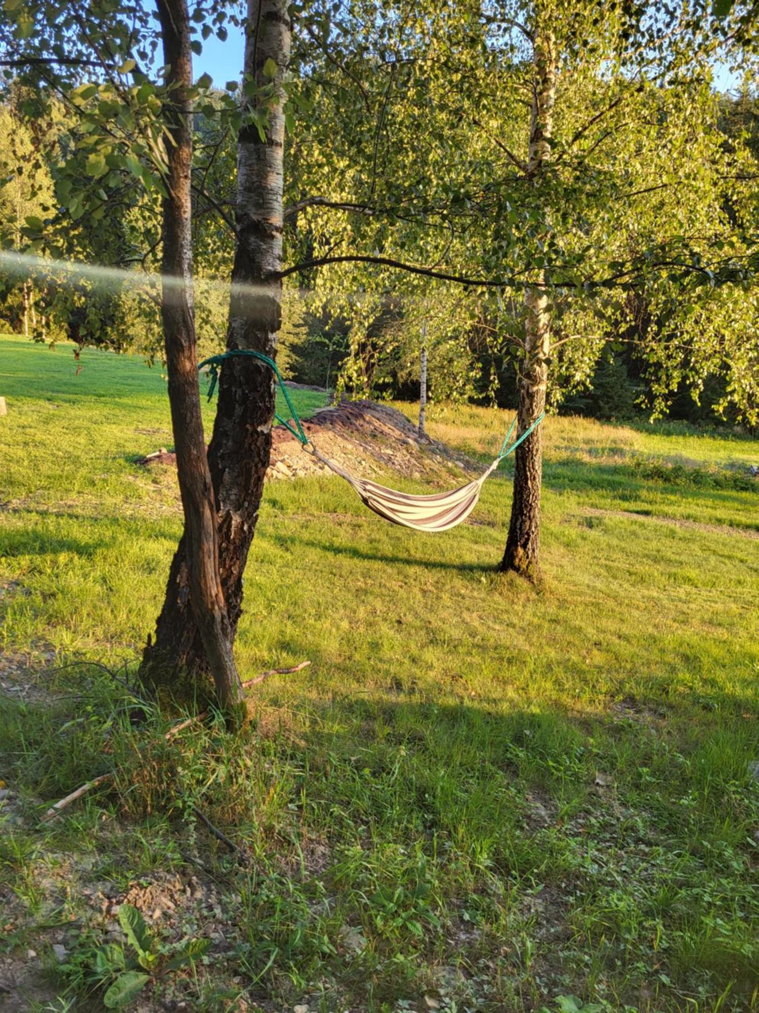 Villa Lavendowa Oaza Kocierz Rychwaldzki Exterior foto