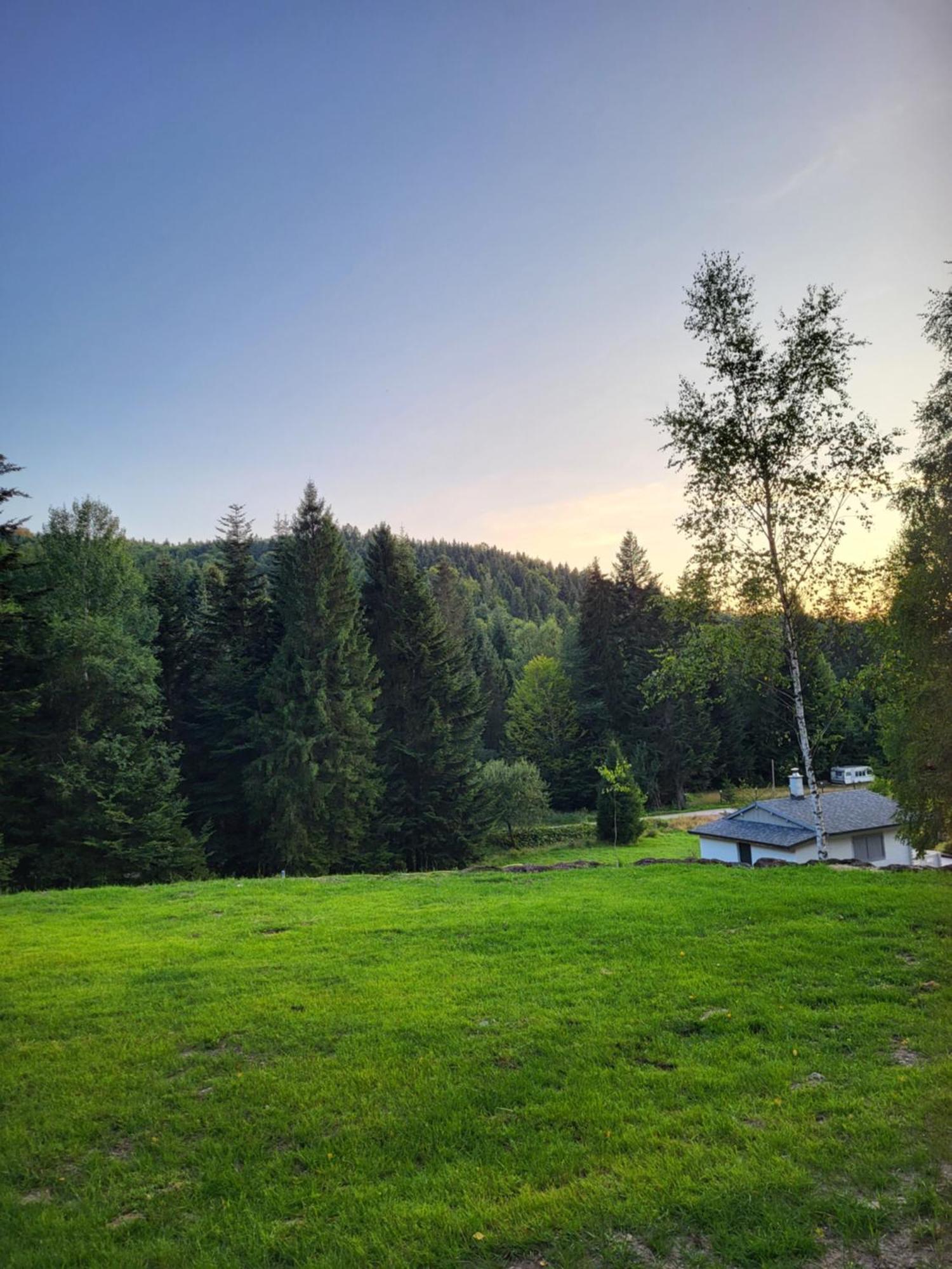 Villa Lavendowa Oaza Kocierz Rychwaldzki Exterior foto