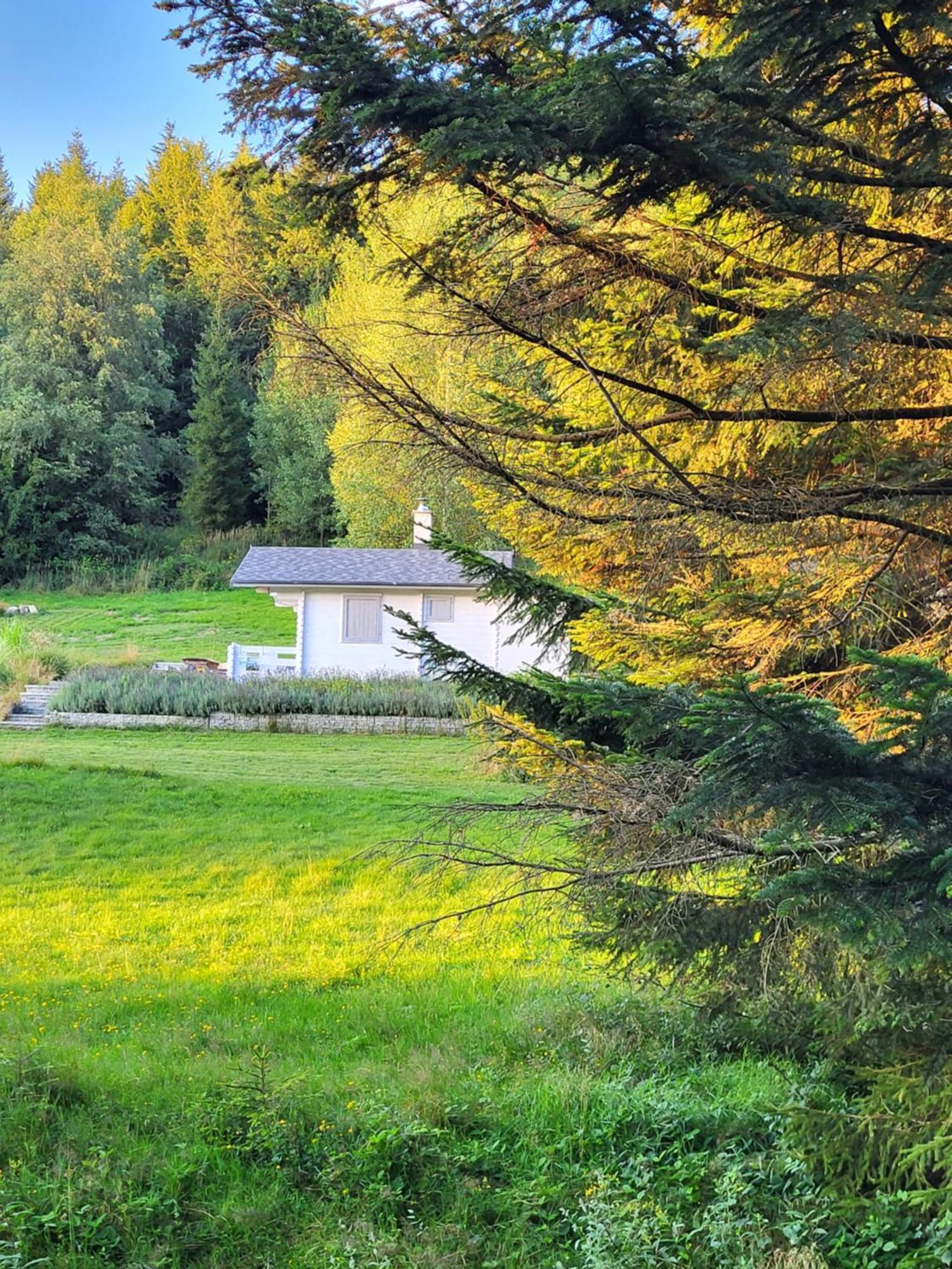 Villa Lavendowa Oaza Kocierz Rychwaldzki Exterior foto